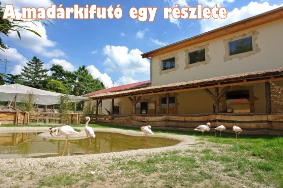 Győri állatkert Madárház